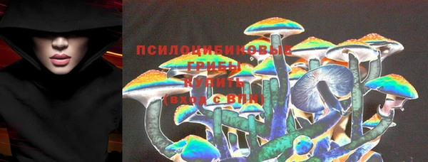 apvp Надым
