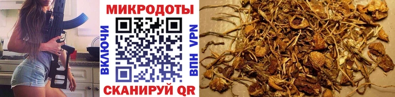 Галлюциногенные грибы ЛСД  даркнет какой сайт  Хотьково 